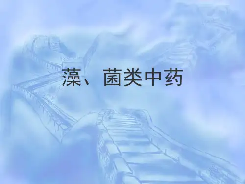 藻菌地衣类中药