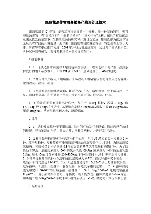 绿色能源作物甜高梁高产栽培管理技术