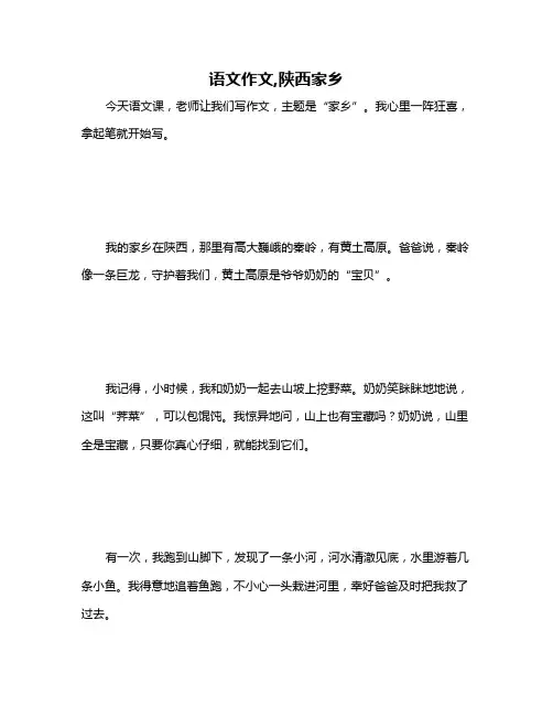 语文作文,陕西家乡