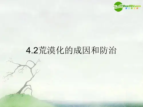 高中地理 4.2《荒漠化的成因和防治》课件 旧人教版选修2 