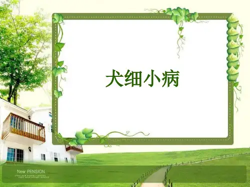 9-犬细小病毒