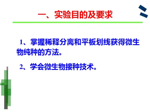 实验六产淀粉酶细菌的分离二微生物的分离培养和接种方法教案