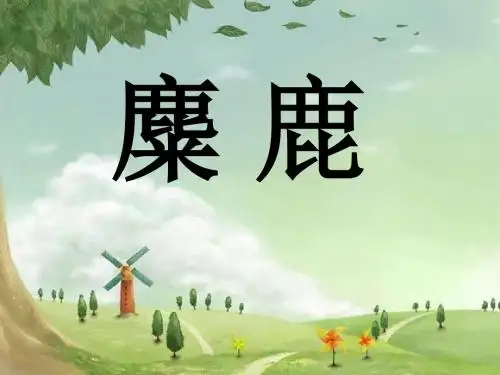《麋鹿》PPT课件