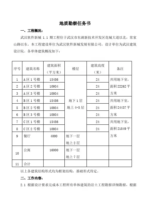 花山项目地勘任务书