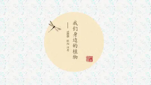 调查我们身边的植物