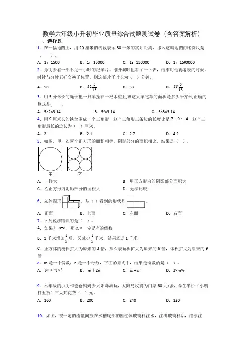 数学六年级小升初毕业质量综合试题测试卷(含答案解析)