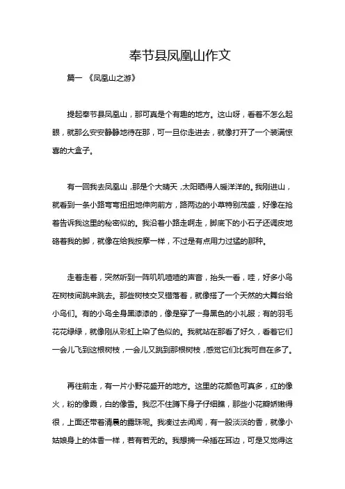 奉节县凤凰山作文