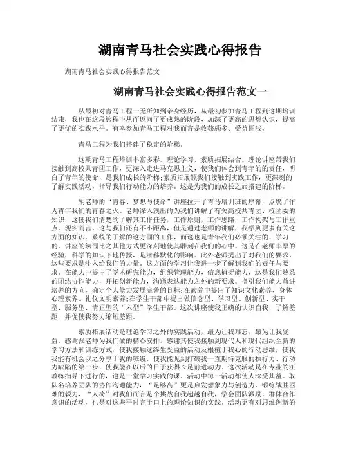湖南青马社会实践心得报告