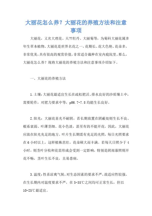 大丽花怎么养？大丽花的养殖方法和注意事项