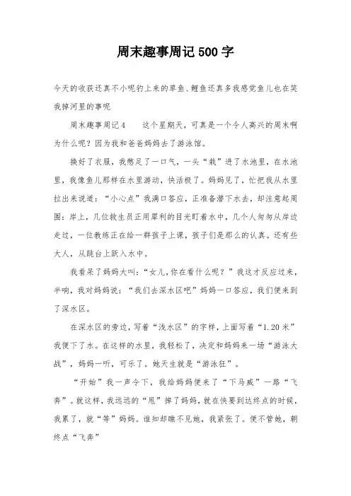 周末趣事周记500字