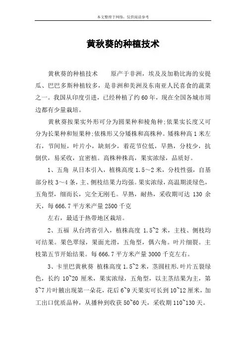 黄秋葵的种植技术