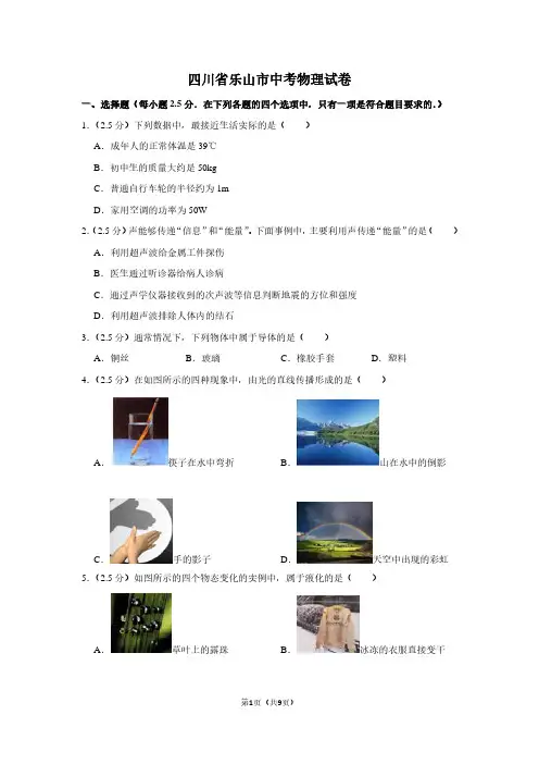 四川省乐山市中考物理试卷