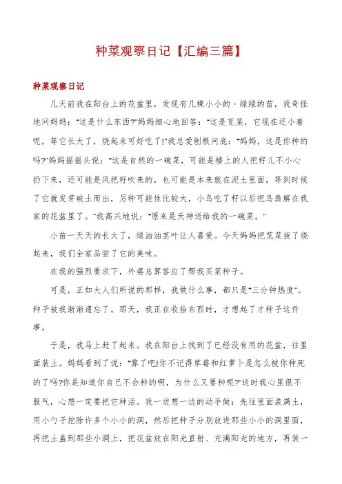 种菜观察日记【汇编三篇】