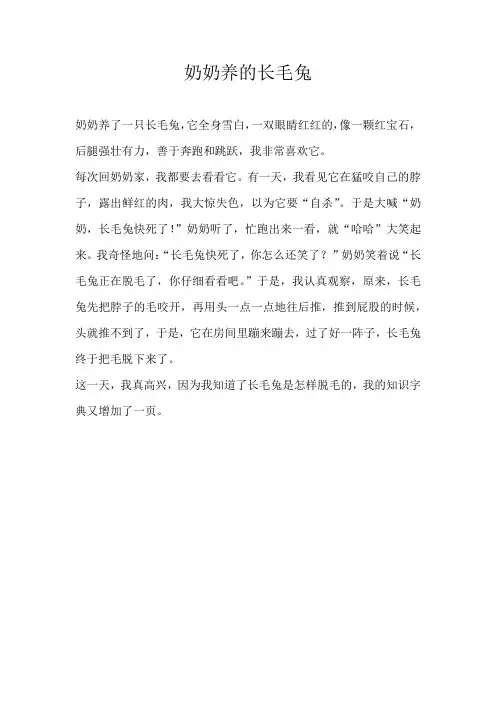 小学状物奶奶养的长毛兔