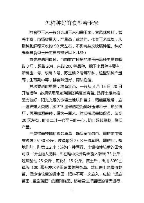 怎样种好鲜食型春玉米