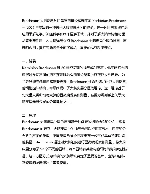 brodmann大脑皮层分区