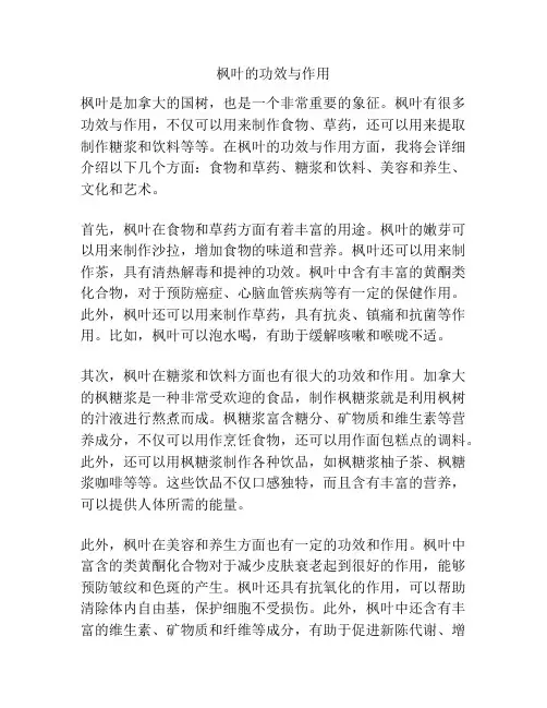 枫叶的功效与作用