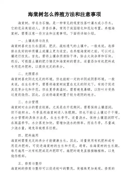 海棠树怎么养殖方法和注意事项
