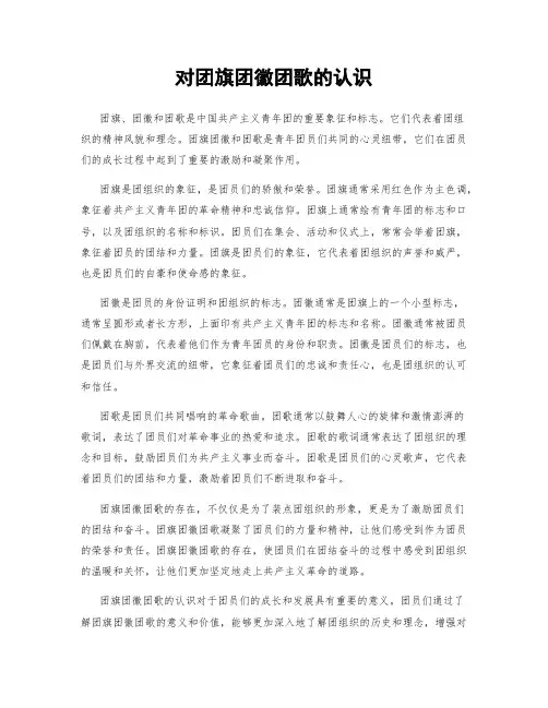 对团旗团徽团歌的认识