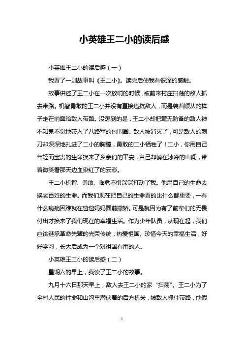 小英雄王二小的读后感