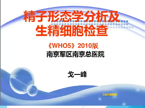 精子形态学分析