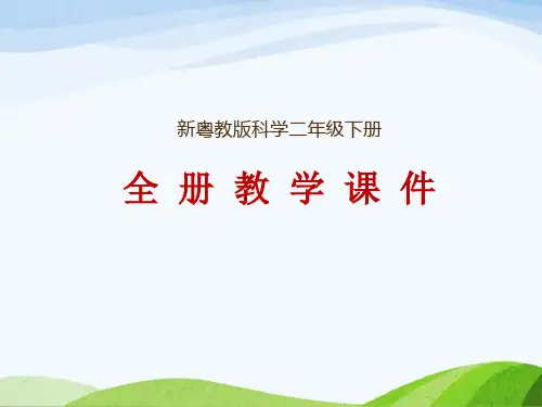新粤教版二年级下册科学教学课件