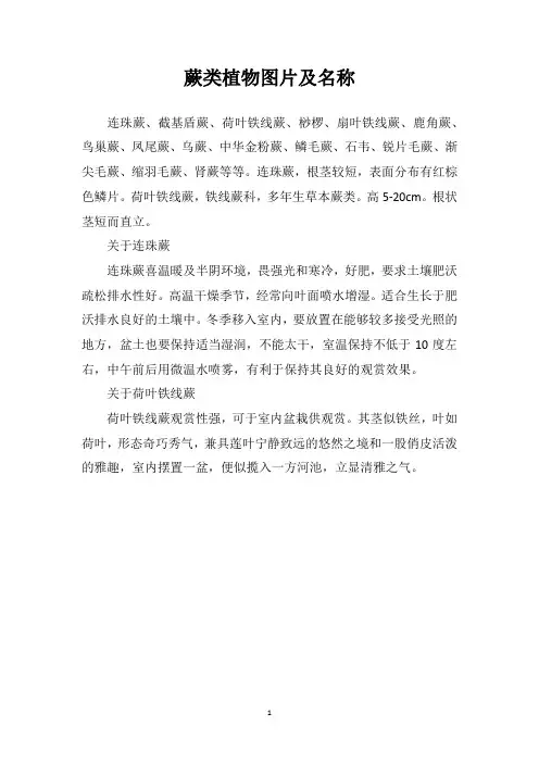 蕨类植物图片及名称