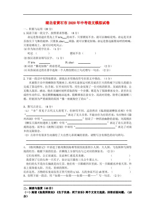 湖北省黄石市2020年中考语文模拟试卷(含答案)