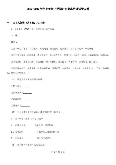 2019-2020学年七年级下学期语文期末测试试卷A卷