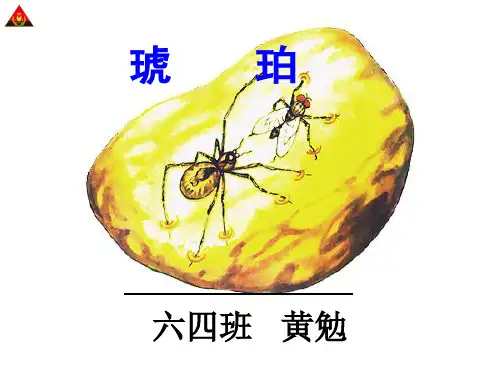 《琥珀》第二课时课件(省一等奖)