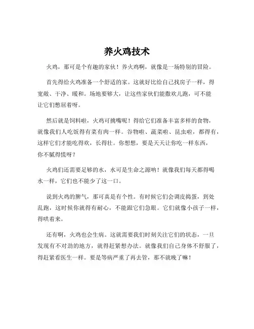 养火鸡技术