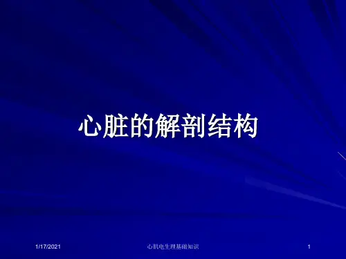 心肌电生理基础知识培训课件