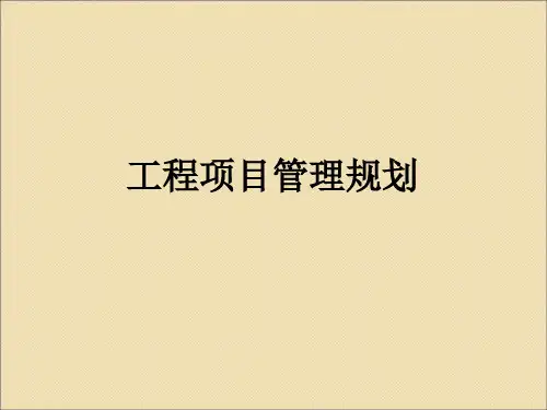 工程项目管理规划ppt课件