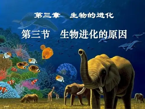 《生物进化的原因》生物的进化PPT课件3 (共14张PPT)