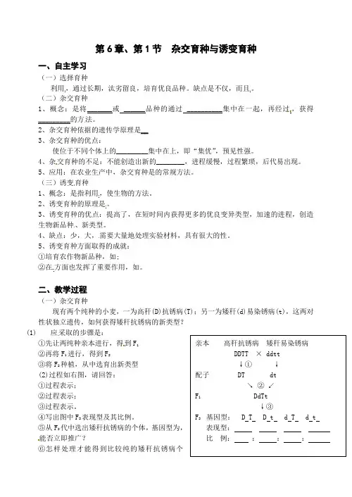 《杂交育种与诱变育种》教学案