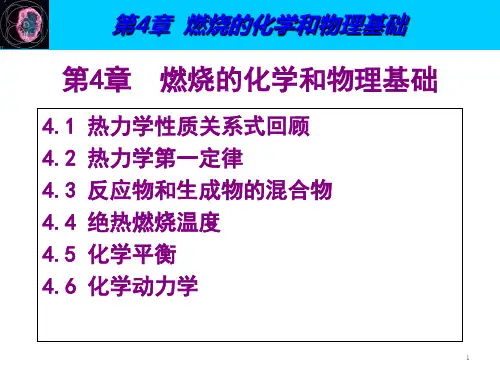 4燃烧的化学和物理基础