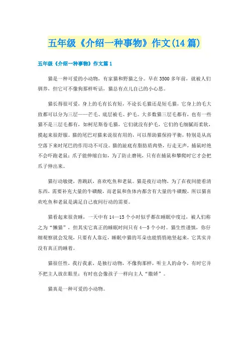 五年级《介绍一种事物》作文(14篇)
