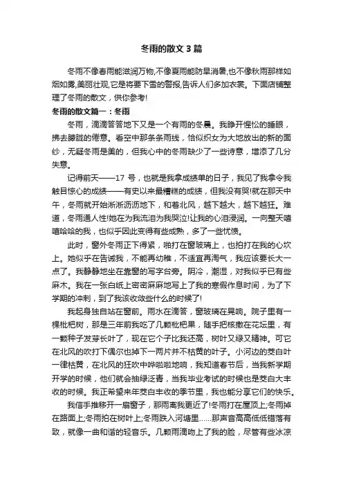 冬雨的散文3篇