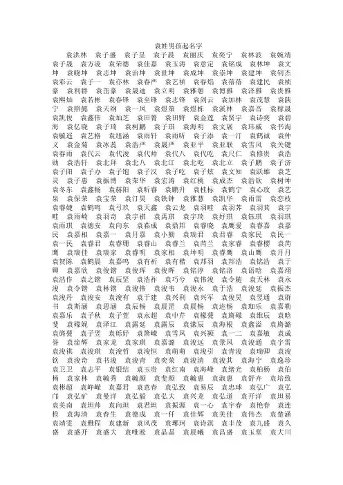 袁姓男孩起名字