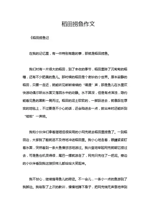 稻田捞鱼作文
