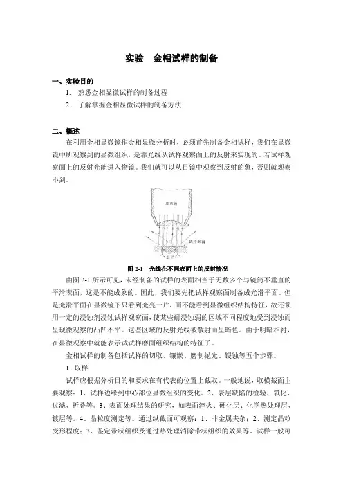 实验  金相试样的制备