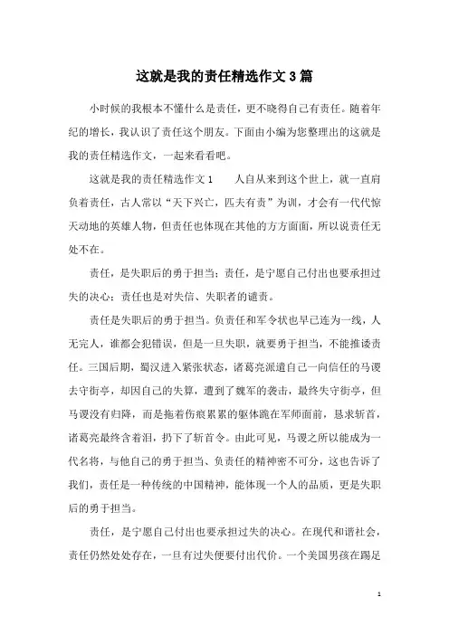 这就是我的责任精选作文3篇
