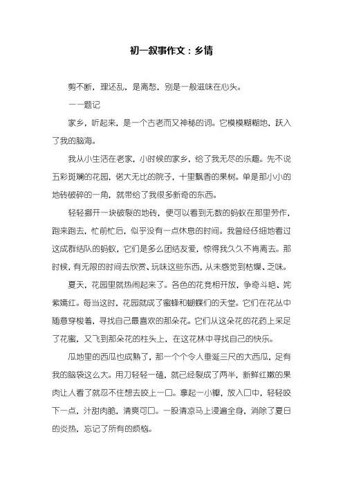 初一作文叙事作文_乡情_750字