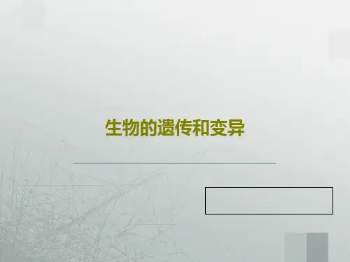 生物的遗传和变异25页PPT