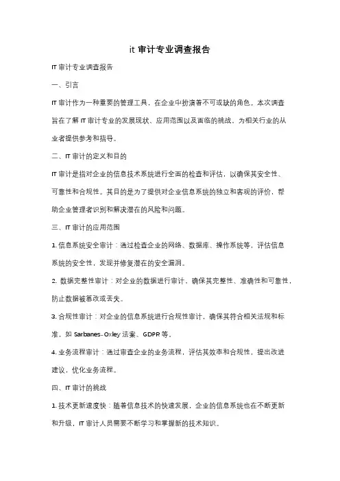 it审计专业调查报告