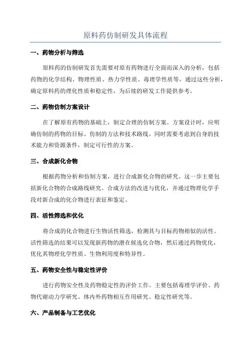 原料药仿制研发具体流程
