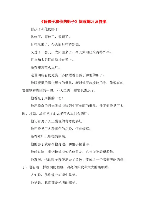 《盲孩子和他的影子》阅读练习及答案
