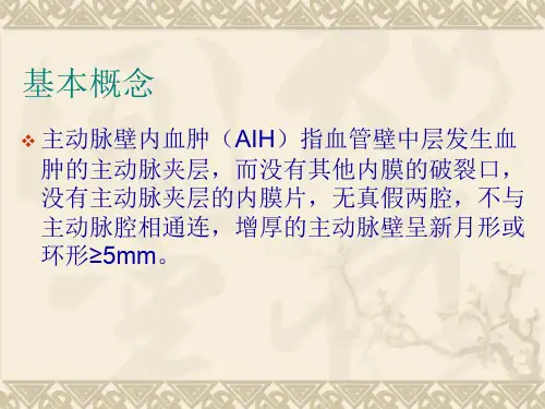 主动脉壁内血肿