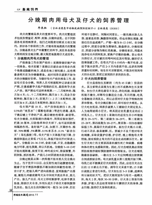 分娩期肉用母犬及仔犬的饲养管理