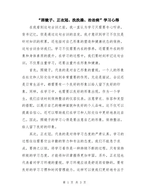 “照镜子、正衣冠、洗洗澡、治治病”学习心得